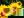 Avatar for Sunshine8